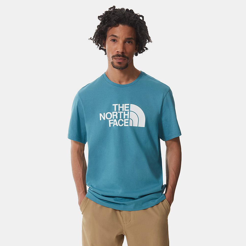 The North Face T-Shirts Mens Australia - The North Face Easy Blue / White (JNS-963704)